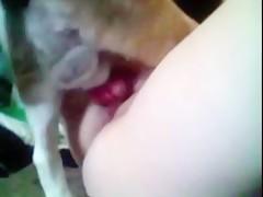 Horny Babysitter webcam ZooSex