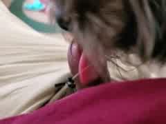 Dog loves licking