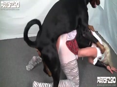 Sexy Teen Fickt Hund Zooporn - i like Playlist - Bestialitysextaboo - Animal Bestiality