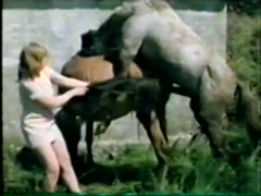 Most Relevant Videos - bizarre animal sex tube - Bestialitysextaboo - Animal  Bestiality