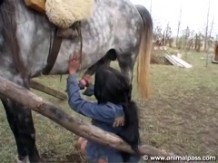 Blonde Horse Sex - Animal Pass - Blonde Girl And Horse - Bestialitysextaboo ...
