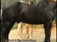 Lesbian Horse Pussy - Lesbian Horse Girls - Bestialitysextaboo - Animal Bestiality