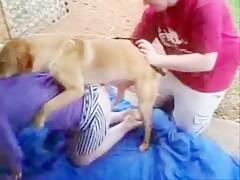 Girl Dog Sax Vidieo - Bestiality - Animal Sex - Dog Very Like To Fuck A Girl Outoor ...