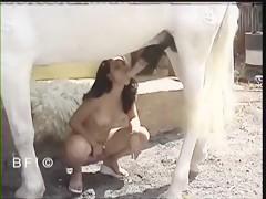 Japani Horse And Woman Sex - Japan girl sucking horse - Bestialitysextaboo - Animal Bestiality