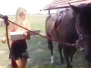 Horse story sex animals - Bestialitysextaboo - Animal Bestiality
