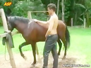 Colombian Horse Sex - Man Fuck With Horse - Bestialitysextaboo - Animal Bestiality