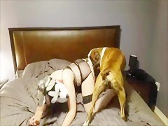 Grandmothers Sex With Dogs - Sexy Granny and Her Dog Cock - Bestialitysextaboo - Animal Bestiality