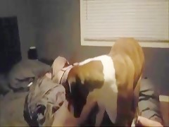Dog Fuck Girl Meme - Naughty bitch loves fuck with her pet dog hot ...