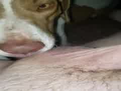 240px x 180px - Most Relevant Videos - dog licking pussy orgasm girl ...